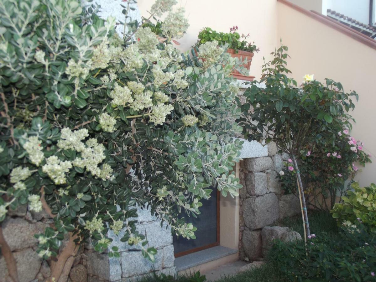 Apartament Casa Elena Cala Gonone Zewnętrze zdjęcie